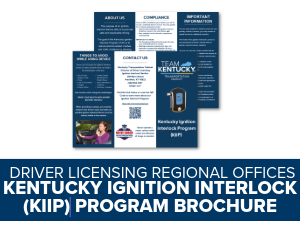 KIIP Program Brochure